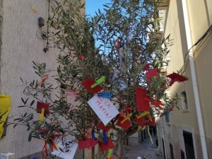 L'albero della legalità situato in piazza XX Settembre di fronte il palazzo Municipale